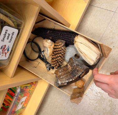 Natural materials for land-based storytelling